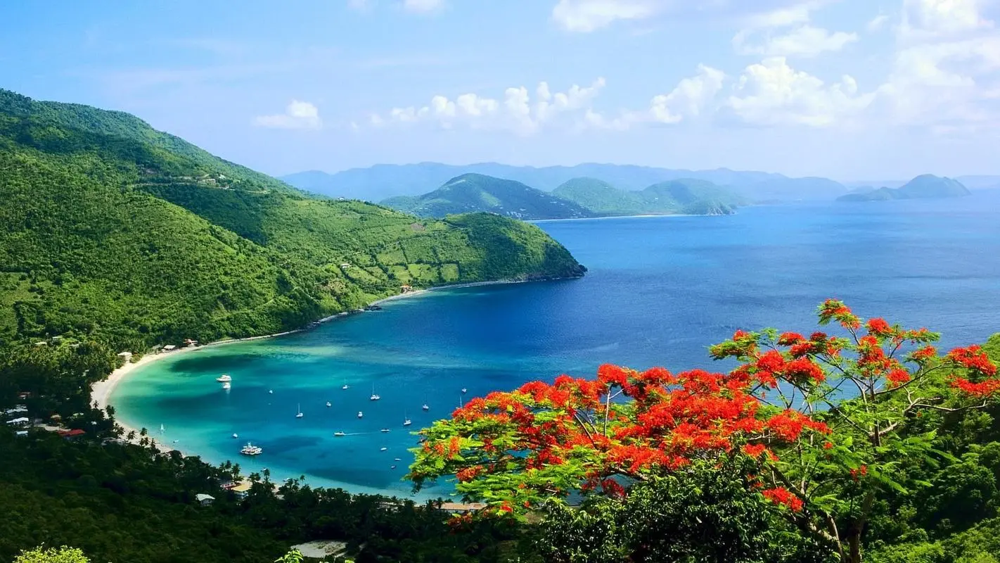 高精度新型